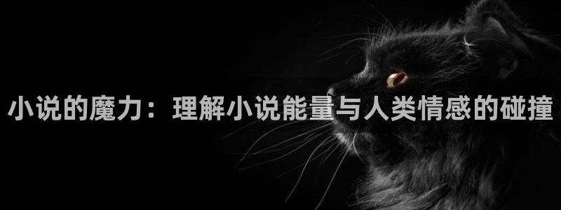 幽梦镇魂小说免费阅读：小说的魔力：理解小说能量与人类情感的碰撞