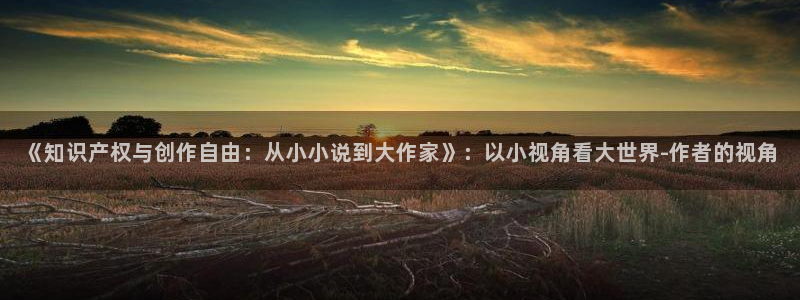 镇魂小说网在线观看：《知识产权与创作自由：从小小说到大作家》：以小视角看大世界-作者的视角